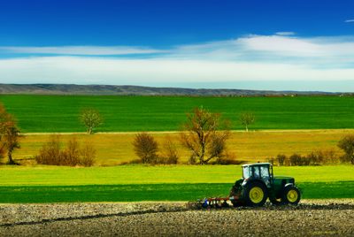 Tractor in The Field