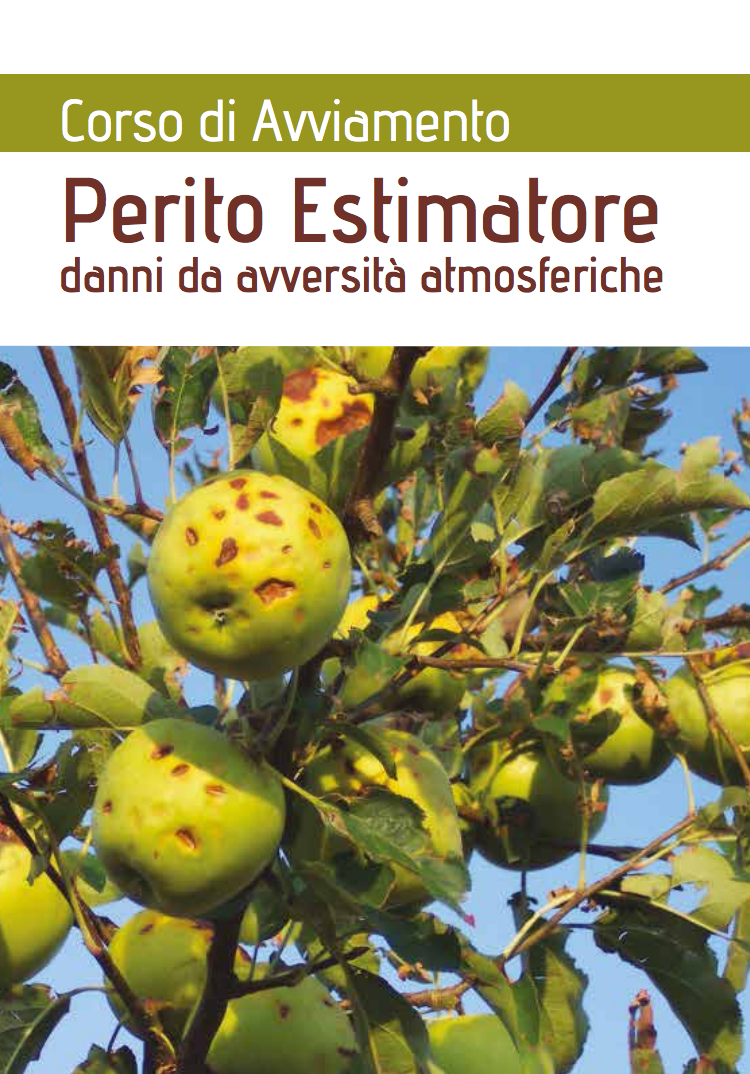 Corso Perito Estimatore